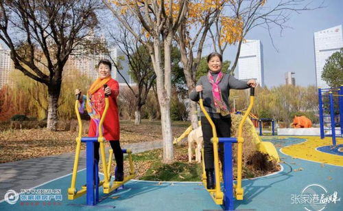 文明實(shí)踐新風(fēng)尚，志愿服務(wù)譜新篇——張家港市文明實(shí)踐志愿服務(wù)主題公園建成投用